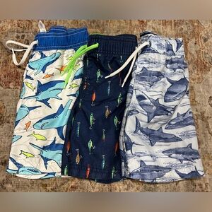 3t swim trunks